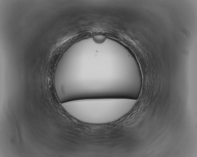 X0000113851303200909240956