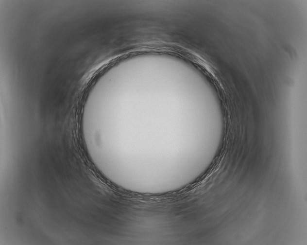 X0000113851304200909240956
