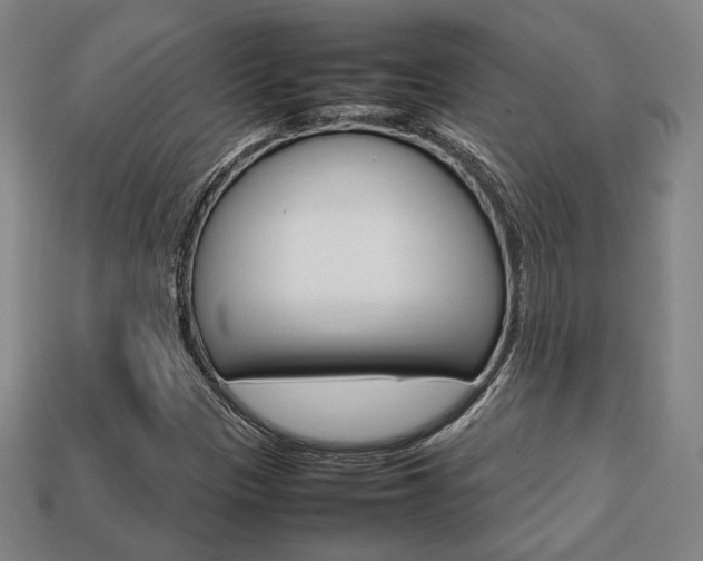 X0000113851305200909240956