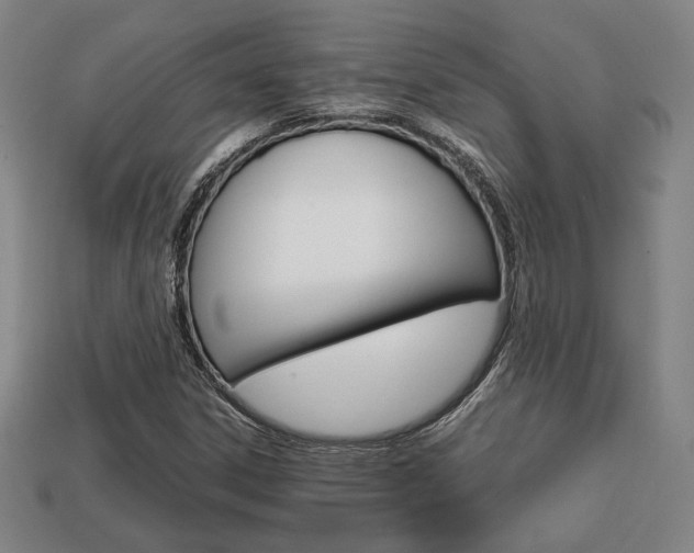 X0000113851306200909240956