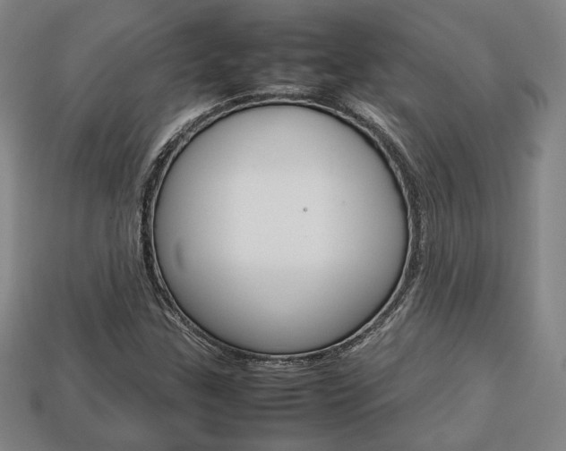 X0000113851307200909240956