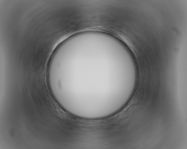 X0000113851308200909240956