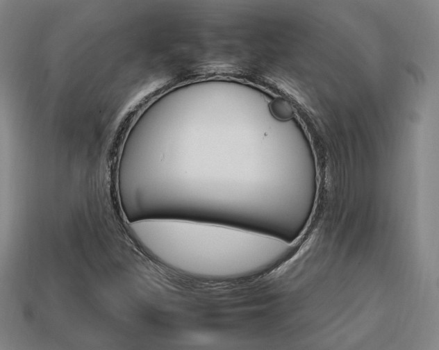 X0000113851309200909240956