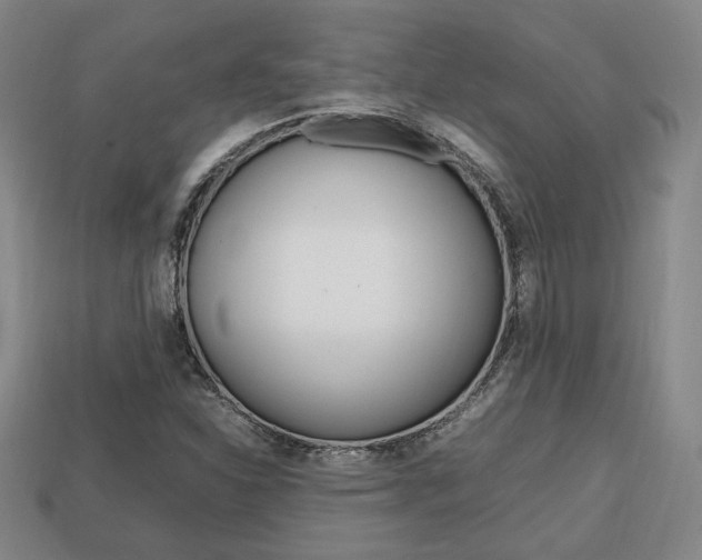 X0000113851310200909240956