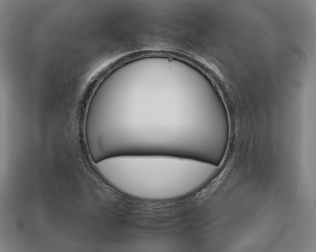 X0000113851311200909240956