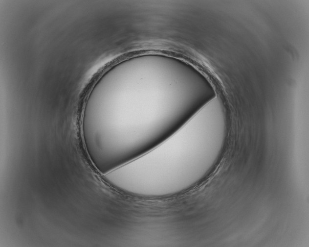 X0000113851312200909240956