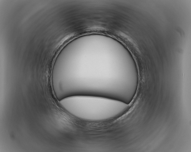 X0000113851313200909240956