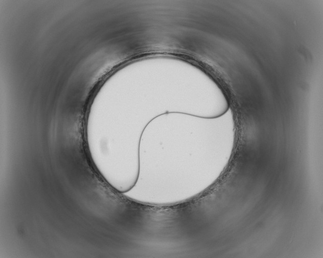 X0000113851314200909240956