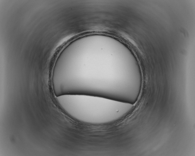 X0000113851315200909240956