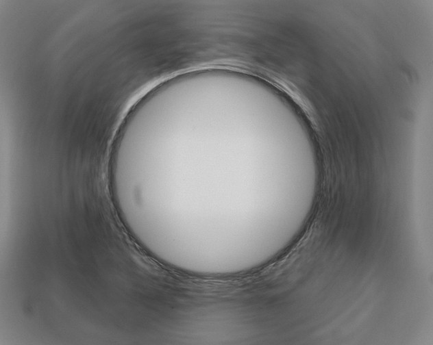 X0000113851316200909240956