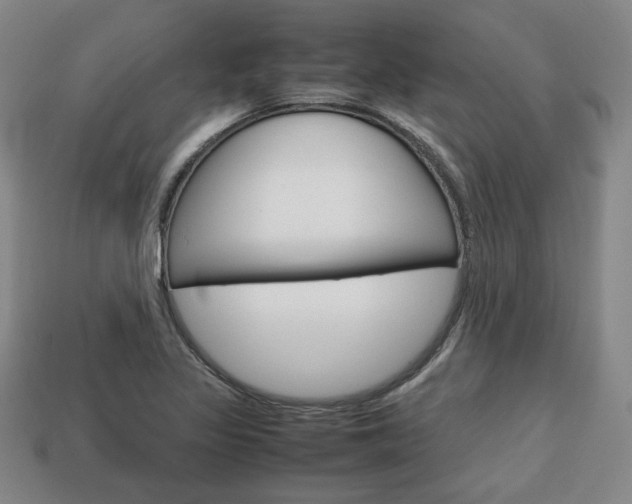 X0000113851317200909240956