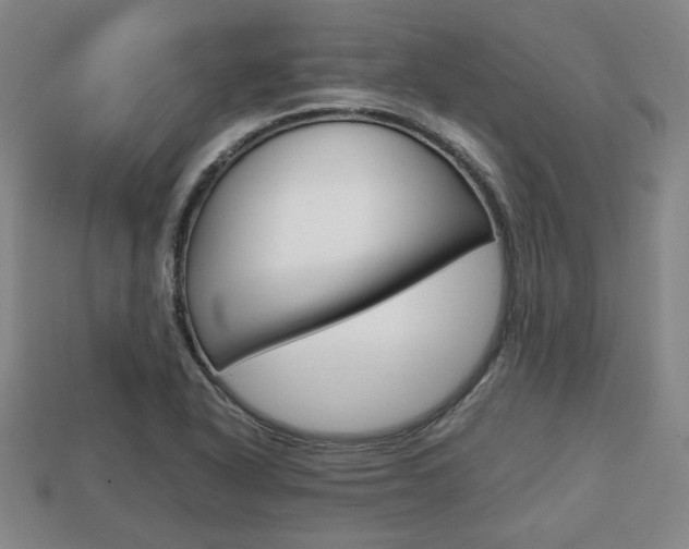 X0000113851318200909240956