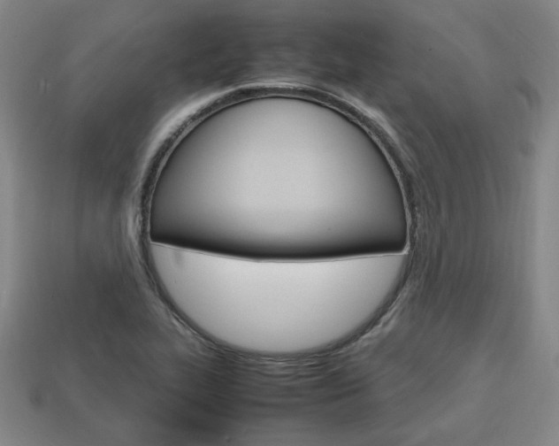 X0000113851319200909240956