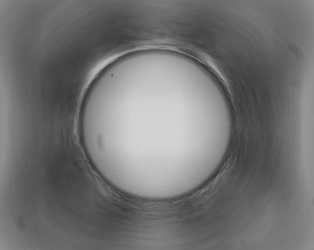 X0000113851320200909240956