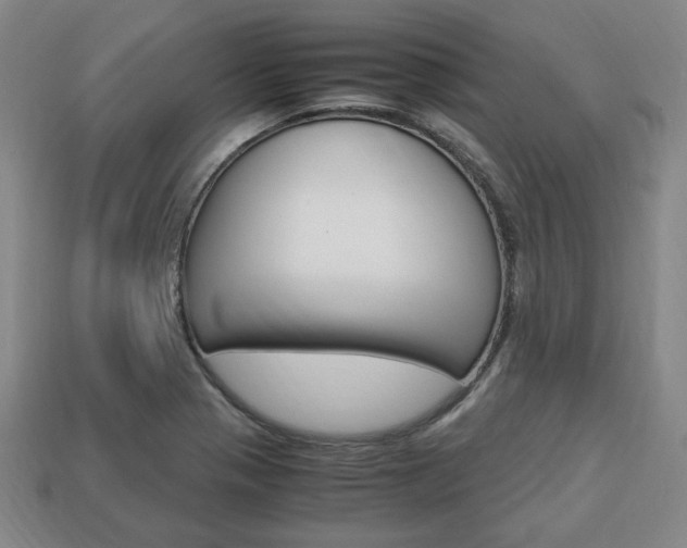 X0000113851321200909240956