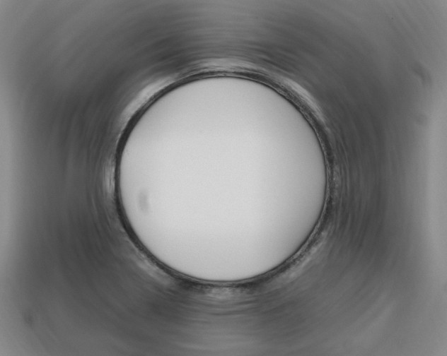 X0000113851322200909240956
