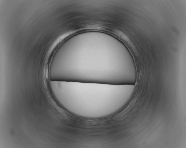 X0000113851323200909240956