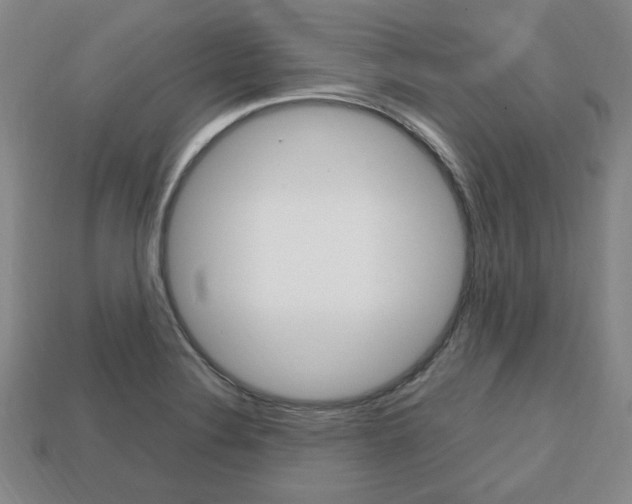 X0000113851324200909240956