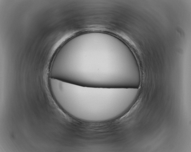 X0000113851325200909240956