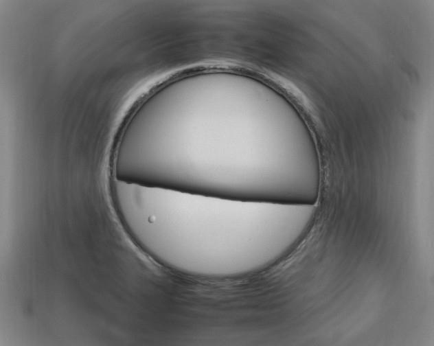 X0000113851327200909240956