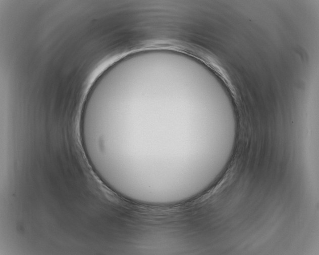 X0000113851328200909240956