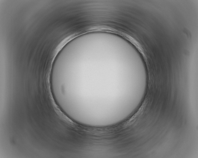 X0000113851330200909240956