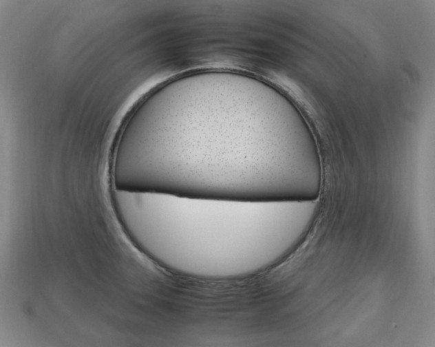 X0000113851331200909240956