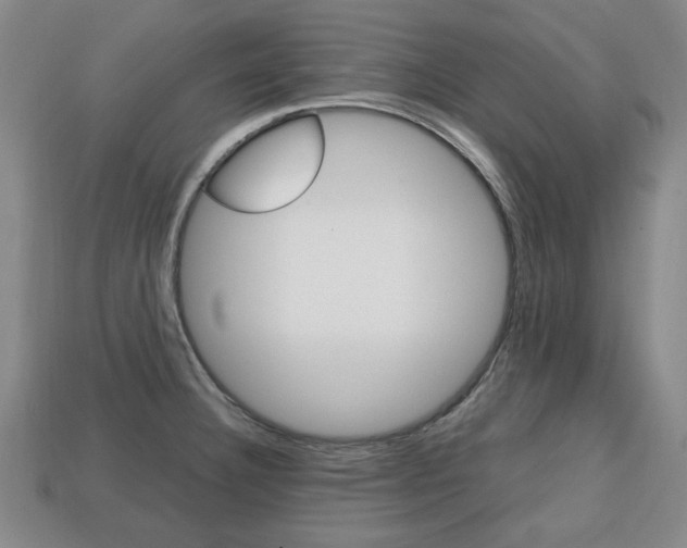 X0000113851332200909240956