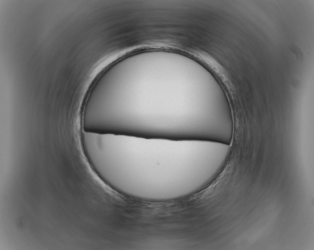 X0000113851335200909240956