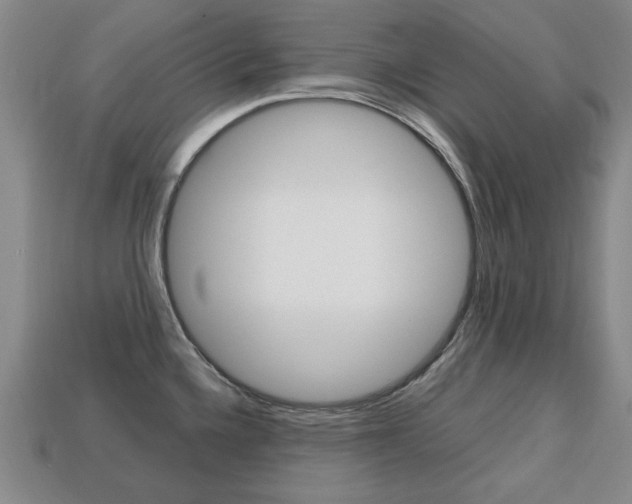 X0000113851336200909240956