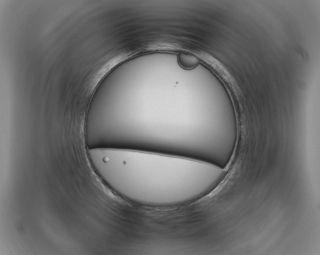 X0000113851337200909240956