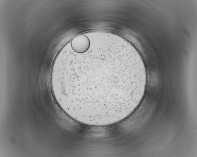 X0000113851338200909240956