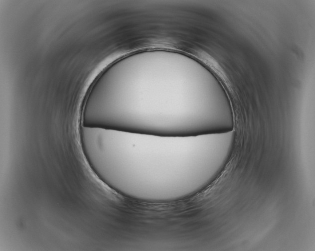 X0000113851339200909240956