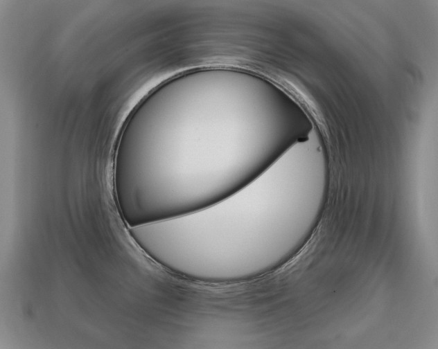 X0000113851340200909240956