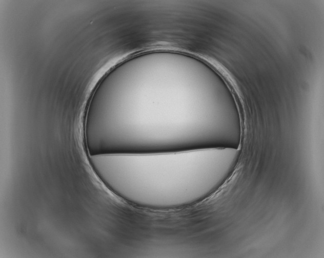 X0000113851341200909240956