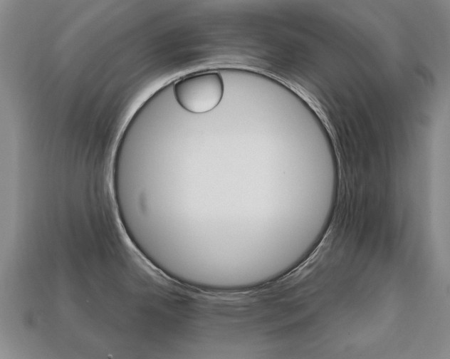 X0000113851342200909240956