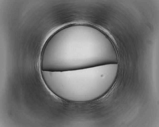 X0000113851343200909240956