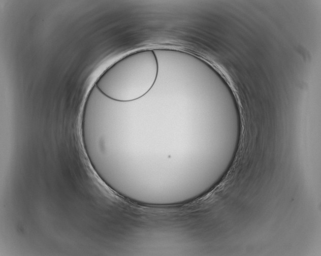 X0000113851344200909240956