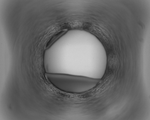 X0000113851345200909240956