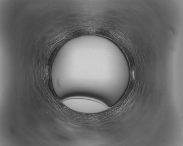 X0000113851347200909240956