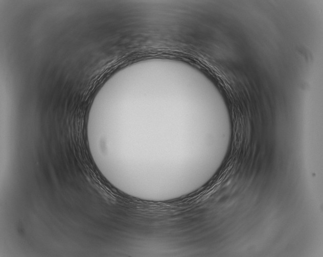 X0000113851348200909240956