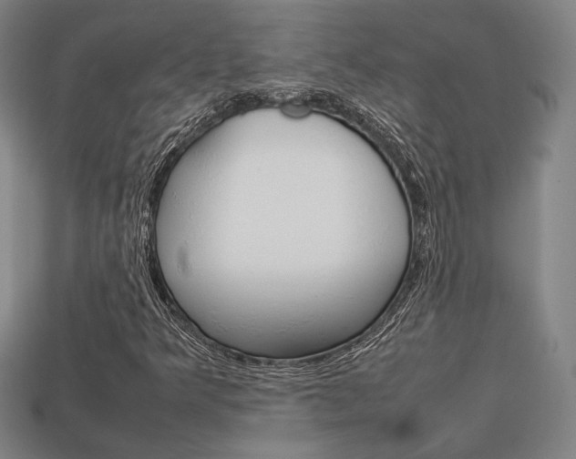 X0000113851349200909240956