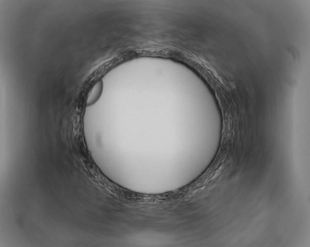 X0000113851350200909240956