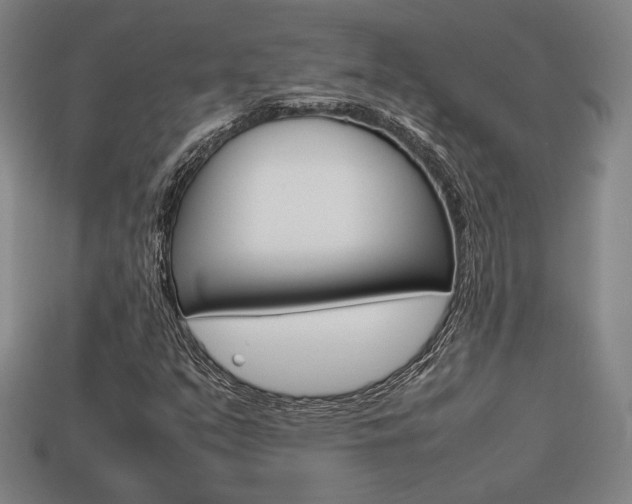 X0000113851351200909240956