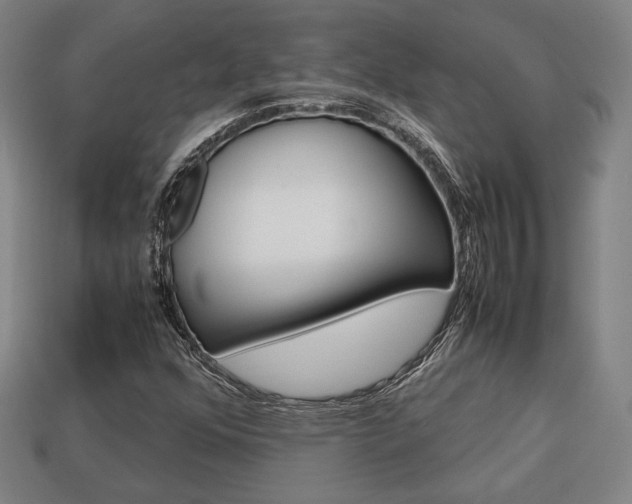 X0000113851352200909240956