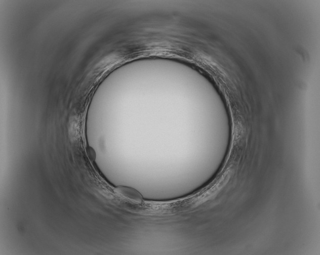 X0000113851353200909240956