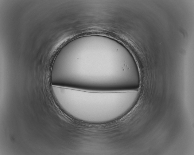 X0000113851355200909240956