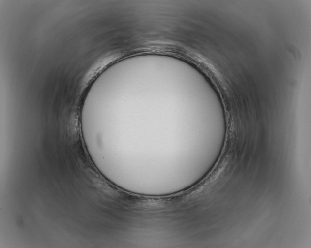 X0000113851362200909240956