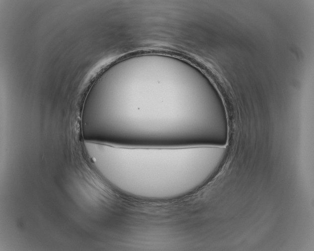 X0000113851363200909240956