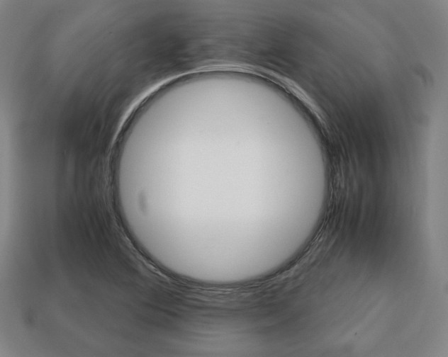 X0000113851364200909240956